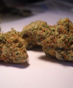 buy medical banana kush strain at www.greenhouse.com dispensary