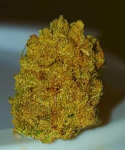 buy acapulco gold for sale at green house cure dispensary