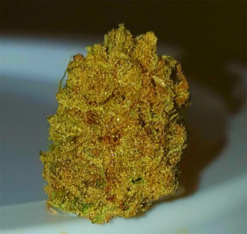 buy acapulco gold for sale at green house cure dispensary