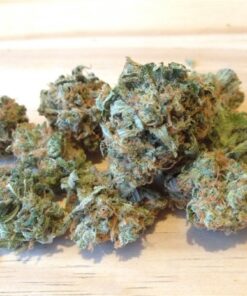 buy acapulco gold for sale at green house cure dispensary