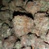 buy Afghan Kush at greenhousecure.com dispensary