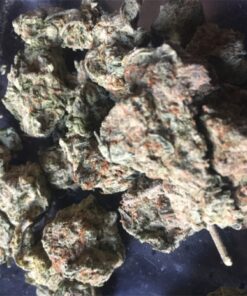 buy Afghan Kush at greenhousecure.com dispensary