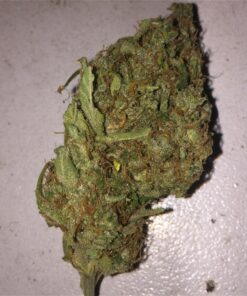 buy ak-47 strains at greenhousecure.com dispensary