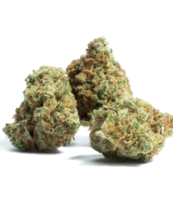 buy amnesia medical cannabis strain at www.greenhousecure.com