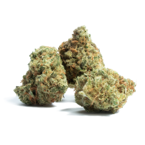 buy amnesia medical cannabis strain at www.greenhousecure.com