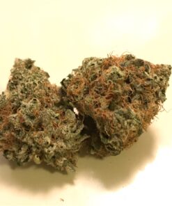 buy medical animal cookies cannabis strain at www.greenhousecure.com