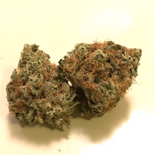 buy medical animal cookies cannabis strain at www.greenhousecure.com