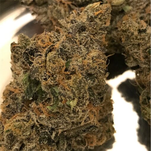 buy medical animal cookies cannabis strain at www.greenhousecure.com