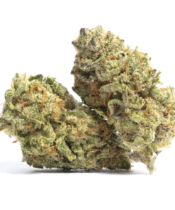 buy medical banana kush strain at www.greenhouse.com dispensary