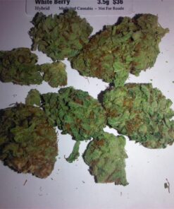 buy berry white cannabis strain for sale at www.greenhousecure.com