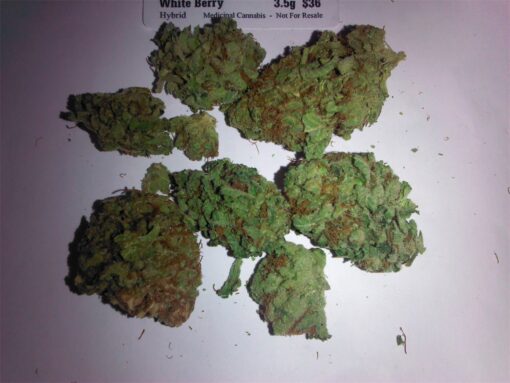 buy berry white cannabis strain for sale at www.greenhousecure.com