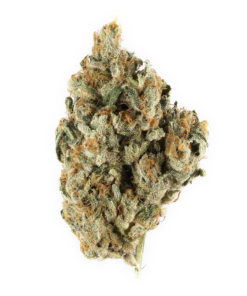 buy blackberry kush at www.greenhousecure.com