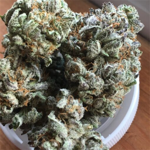 buy blackberry kush at www.greenhousecure.com