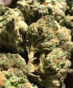 buy blue cheese medical marijuana strain at www.greenhousecure.com