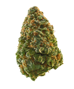 buy blue cheese for sale at www.greenhousecure.com dispensary