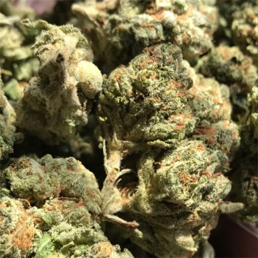 buy blue cheese medical marijuana strain at www.greenhousecure.com