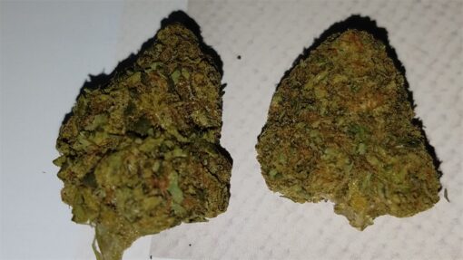 buy blue cheese medical marijuana strain at www.greenhousecure.com