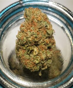 buy blue cheese medical marijuana strain at www.greenhousecure.com