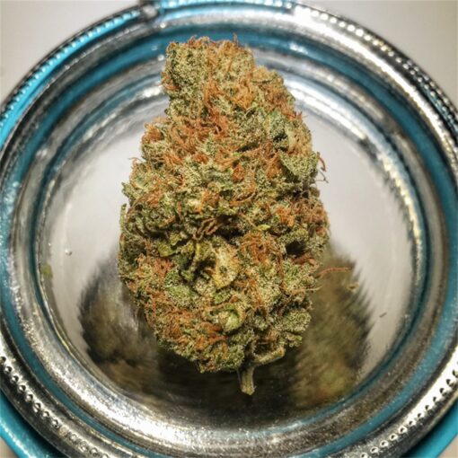 buy blue cheese medical marijuana strain at www.greenhousecure.com