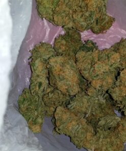 buy blue cheese medical marijuana strain at www.greenhousecure.com