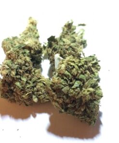 buy blue diesel for sale at www.greenhousecure.com