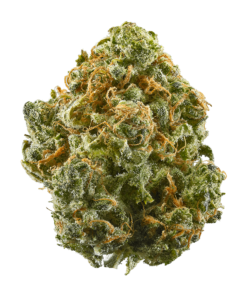 blue-dream for sale at greenhousecure.com