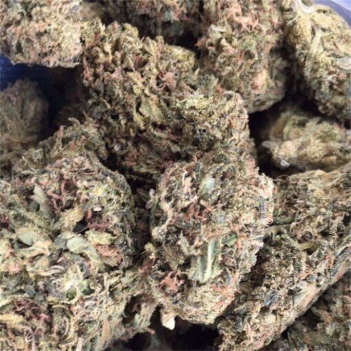 blue-dream for sale at greenhousecure.com