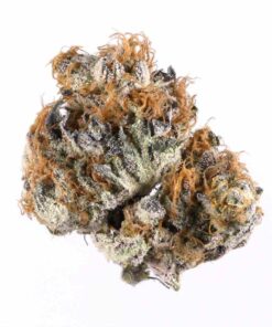 buy blueberry medical cannabis strain at www.greenhousecure.com