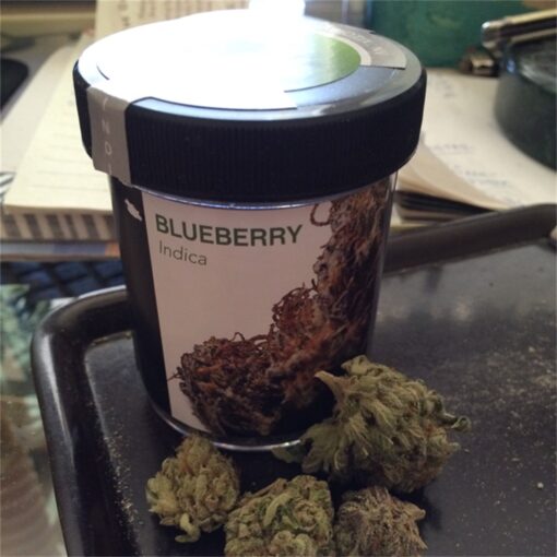 buy blueberry medical cannabis strain at www.greenhousecure.com