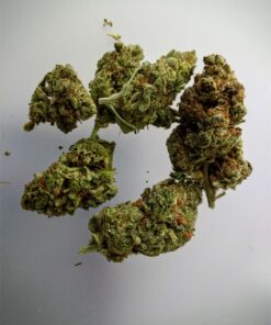 buy bruce banner medical marijuana strains at www.greenhousecure.com