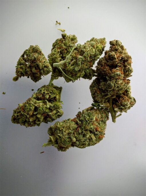 buy bruce banner medical marijuana strains at www.greenhousecure.com