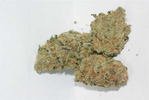 buy bruce banner medical marijuana strains at www.greenhousecure.com