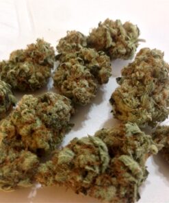 buy bubba kush medical marijuana strains at www.greenhousecure.com