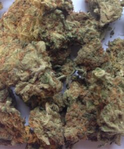 buy bubba kush medical marijuana strains at www.greenhousecure.com