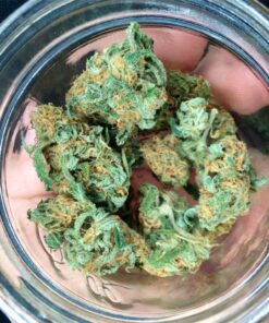 buy medical marijuana bubblegum strain at www.greenhousecure.com