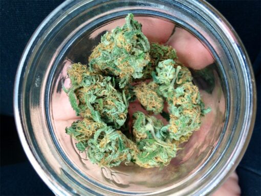 buy medical marijuana bubblegum strain at www.greenhousecure.com