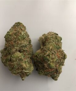 buy Candyland medical marijuana from greenhousecure.com