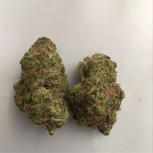 buy Candyland medical marijuana from greenhousecure.com