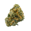 buy cheese medical cannabis strain for sale at www.greenhousecure.com