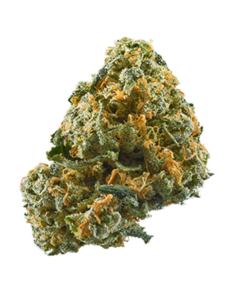 buy cheese medical cannabis strain for sale at www.greenhousecure.com