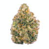 buy ak-47 strains at greenhousecure.com dispensary