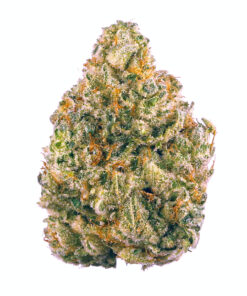 buy ak-47 strains at greenhousecure.com dispensary