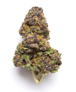 buy agent orange hybrid strain at greenhousecure.com dispensary