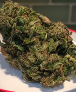 cherry-pie for sale at greenhousecure.com