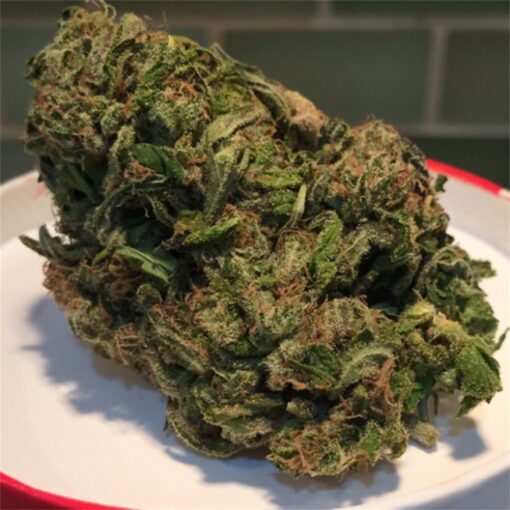 cherry-pie for sale at greenhousecure.com